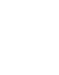 pringles-logo-white-238x300-min
