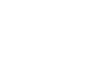 red-bull-white.logo_-300x205-min